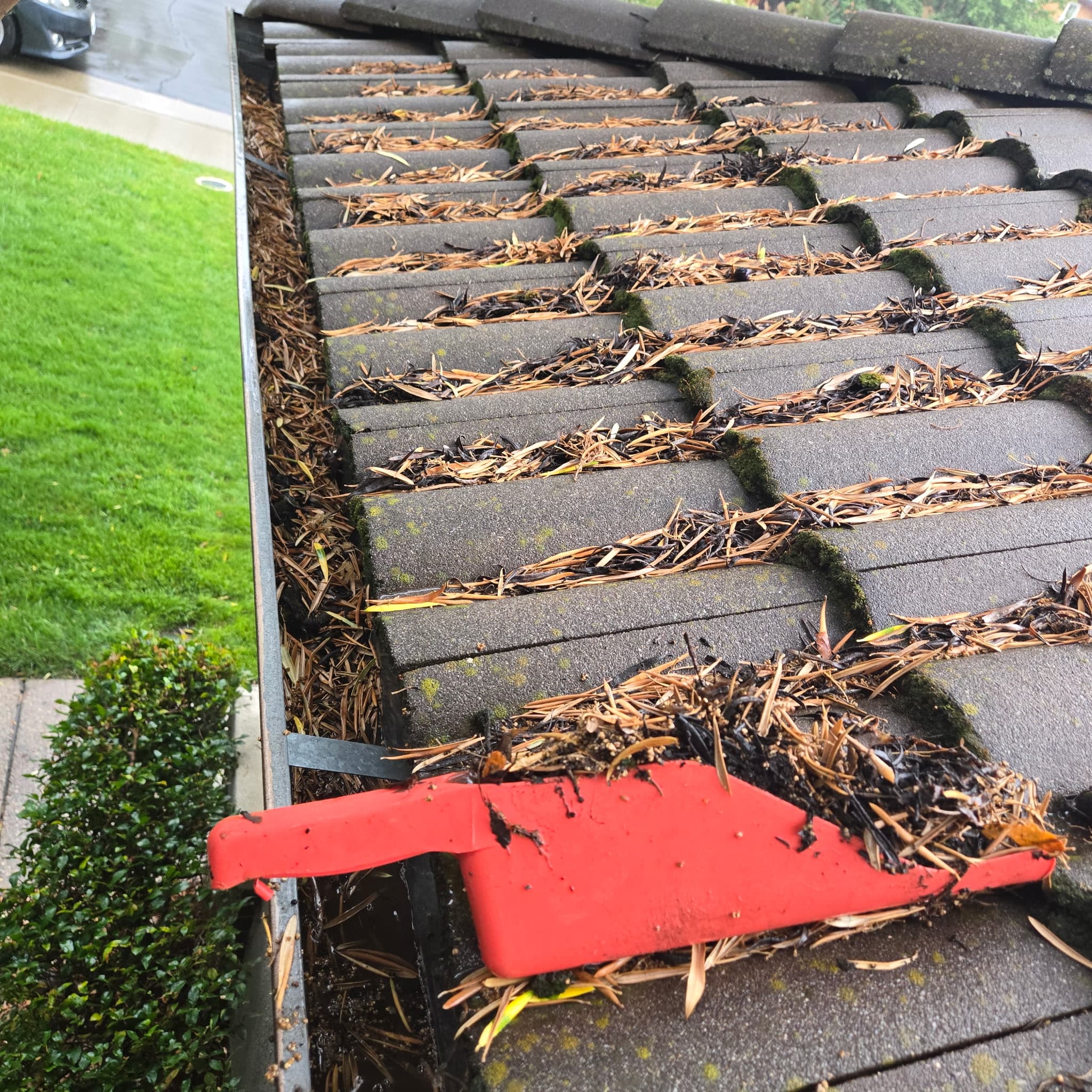 Before: Full Gutter Cleaning